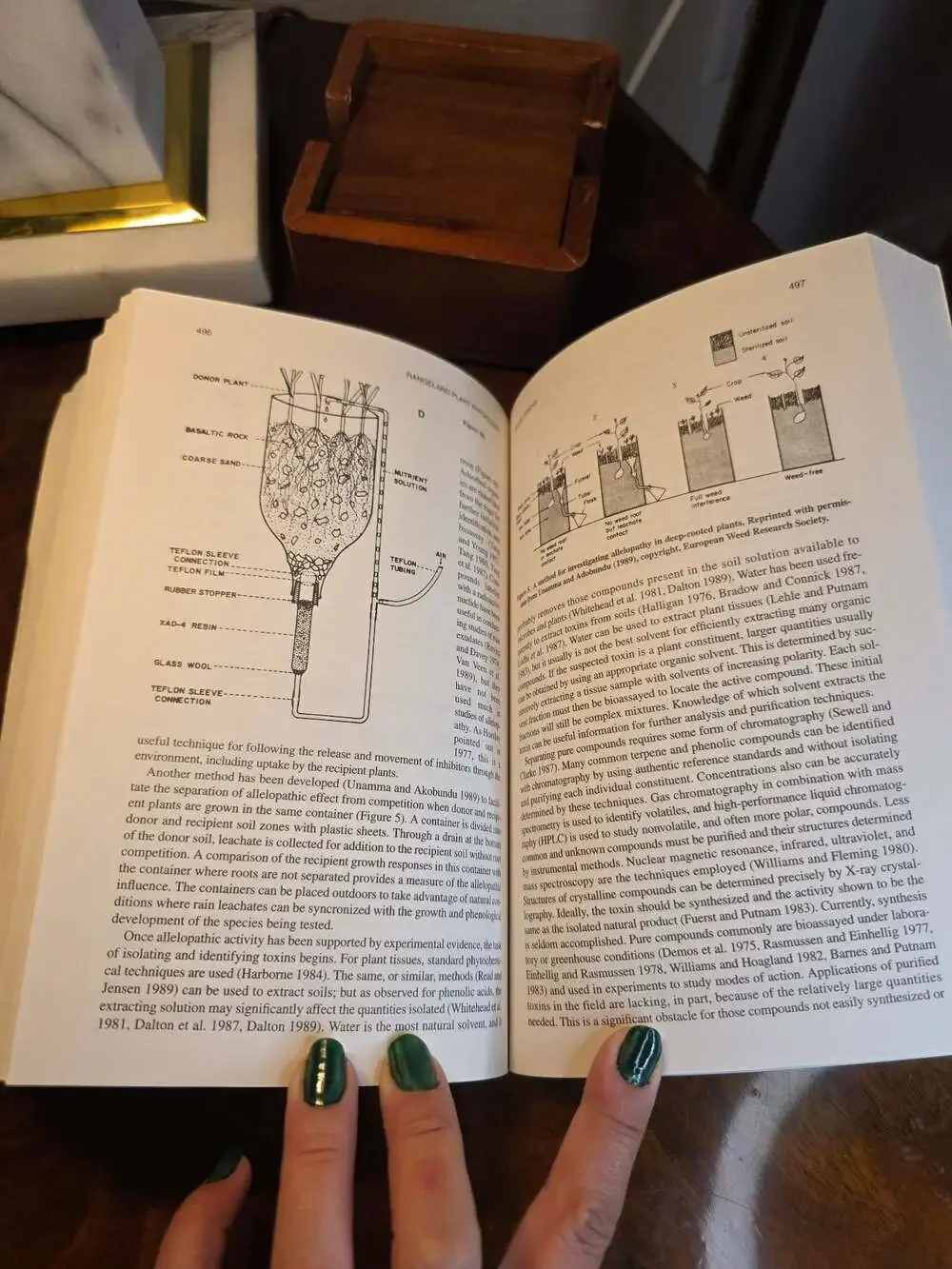 Wildland Plants: Physiological Ecology and Developmental Morphology (1995)
